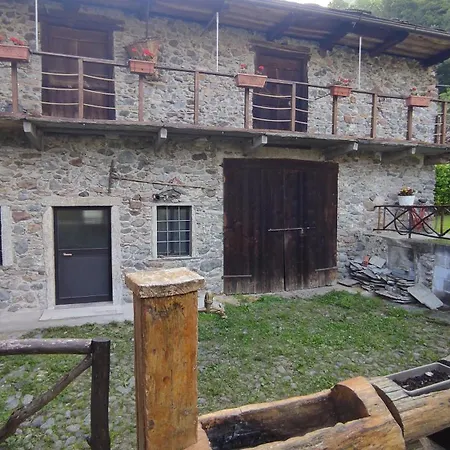 Il Fiore Di Pietra *