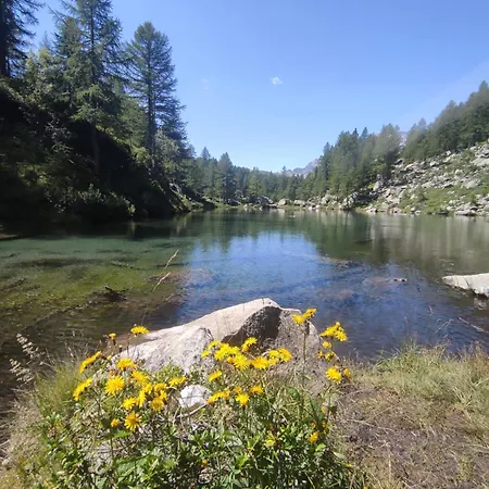 Il Fiore Di Pietra Cuzzago