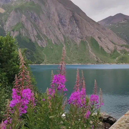Il Fiore Di Pietra Casa vacanze Cuzzago