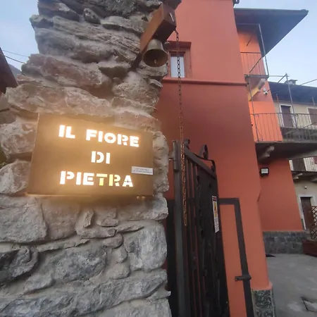 Il Fiore Di Pietra