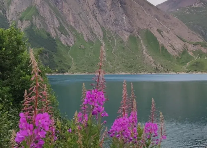 Il Fiore Di Pietra Hébergement de vacances Cuzzago